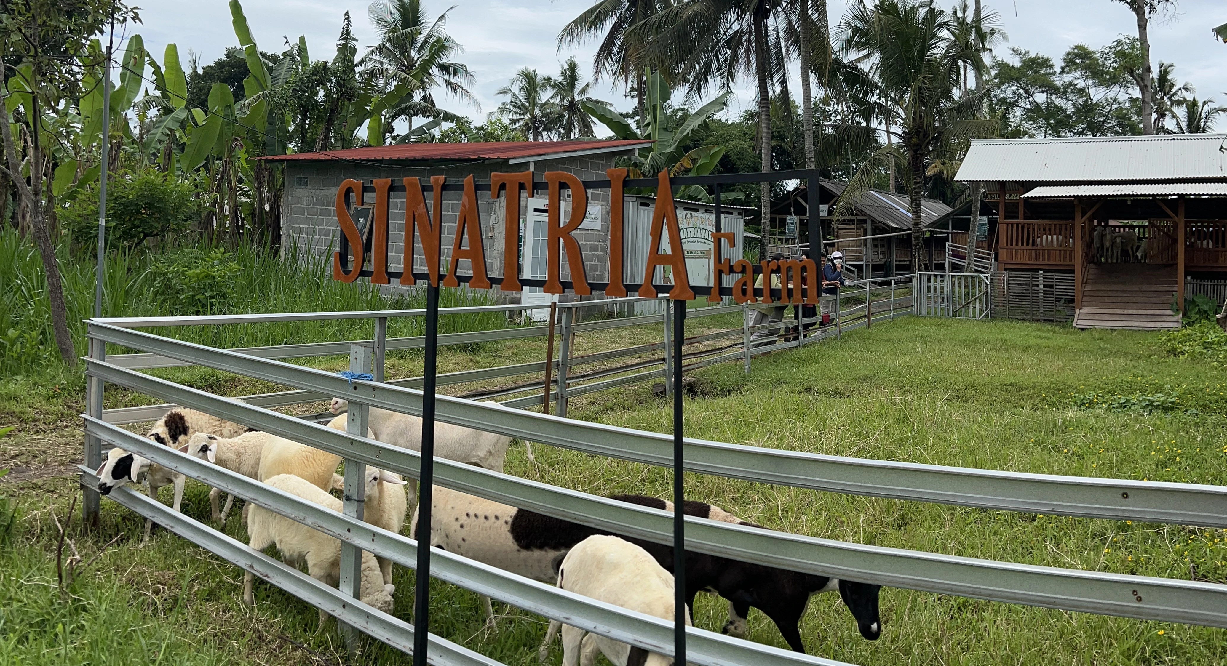 Farm Visit